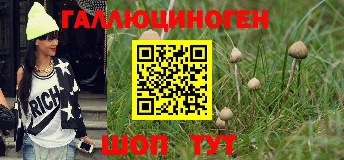 Галлюциногенные грибы Psilocybine cubensis  Галлюциногенные грибы Magic Shrooms  Новочеркасск  Вход с VPN 